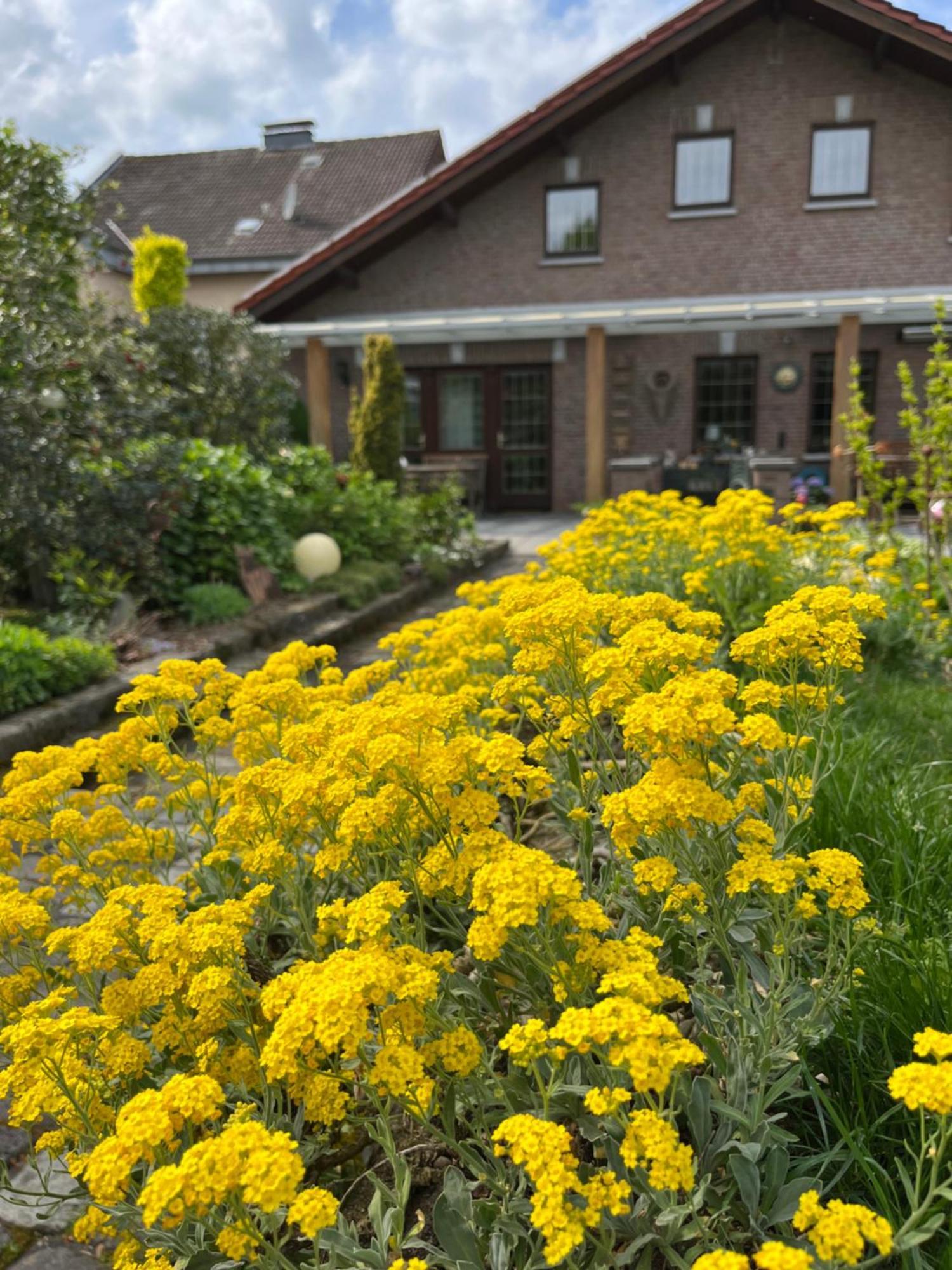 Ferienwohnung Jansen Selfkant Экстерьер фото